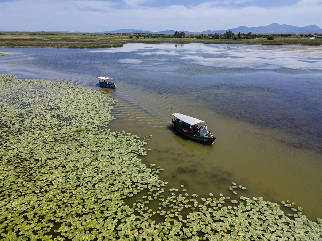 Konya’da beklenen an! Doğanın sessiz mucizesi göz kamaştırmaya başladı 5